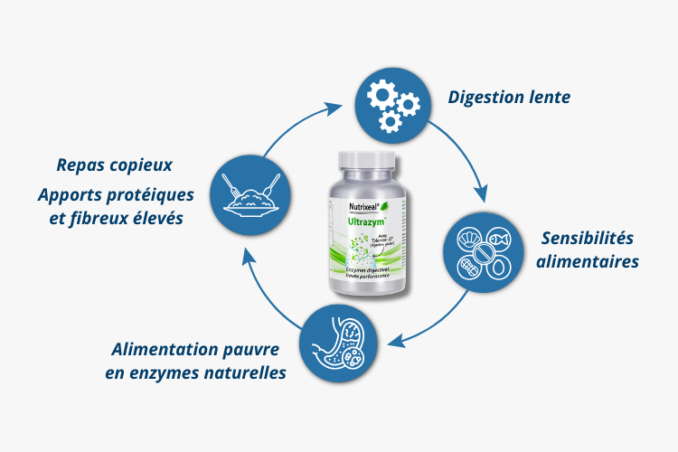 la composition d'ultrazym